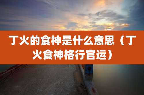 丁火的食神是什么意思(丁火食神格行官运)