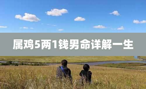 属鸡5两1钱男命详解一生