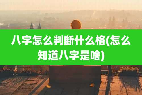 八字怎么判断什么格(怎么知道八字是啥)
