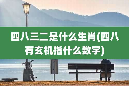 四八三二是什么生肖(四八有玄机指什么数字)