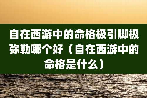 自在西游中的命格极引脚极弥勒哪个好(自在西游中的命格是什么)