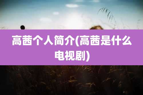 高茜个人简介(高茜是什么电视剧)