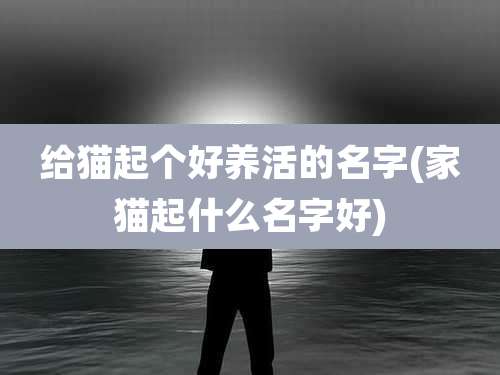 给猫起个好养活的名字(家猫起什么名字好)