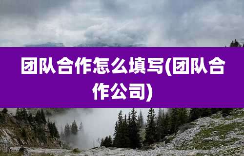 团队合作怎么填写(团队合作公司)