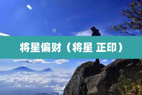 将星偏财(将星 正印)