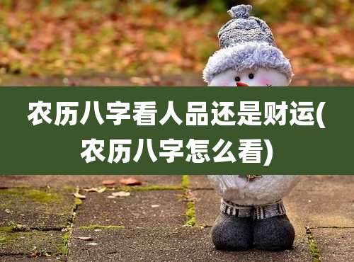 农历八字看人品还是财运(农历八字怎么看)