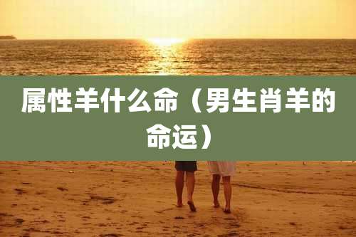 属性羊什么命（男生肖羊的命运）