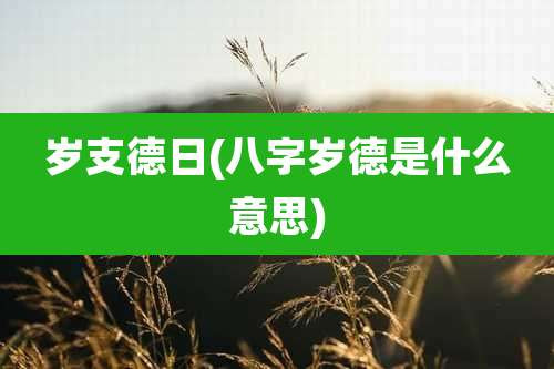 岁支德日(八字岁德是什么意思)