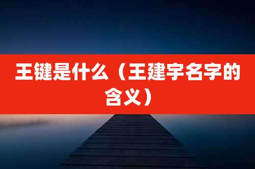 王键是什么(王建宇名字的含义)