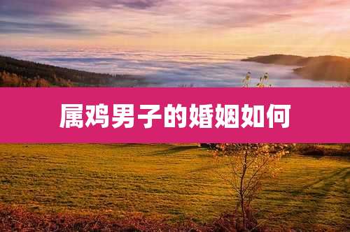 属鸡男子的婚姻如何