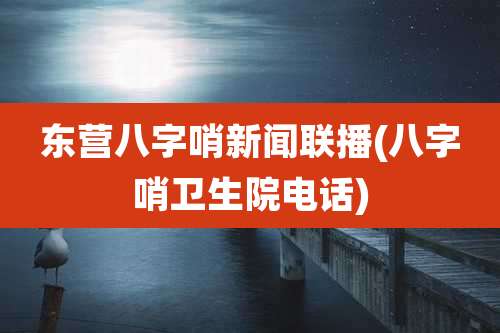 东营八字哨新闻联播(八字哨卫生院电话)