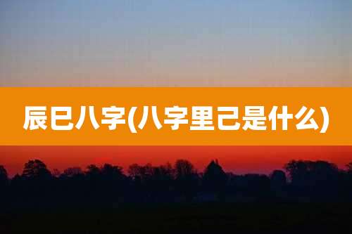 辰巳八字(八字里己是什么)