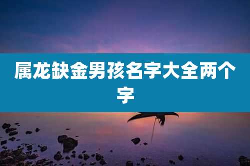 属龙缺金男孩名字大全两个字