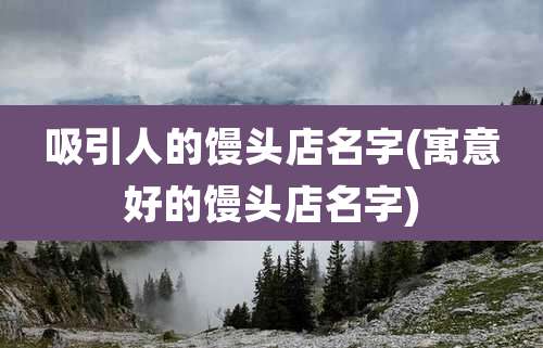 吸引人的馒头店名字(寓意好的馒头店名字)