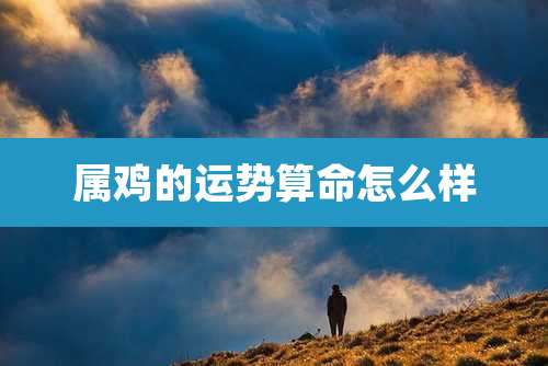 属鸡的运势算命怎么样