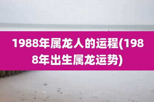 1988年属龙人的运程(1988年出生属龙运势)