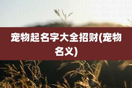 宠物起名字大全招财(宠物名义)