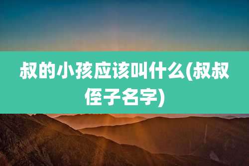 叔的小孩应该叫什么(叔叔侄子名字)