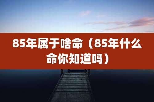 85年属于啥命(85年什么命你知道吗)