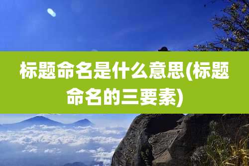 标题命名是什么意思(标题命名的三要素)
