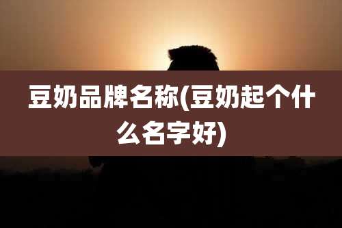 豆奶品牌名称(豆奶起个什么名字好)