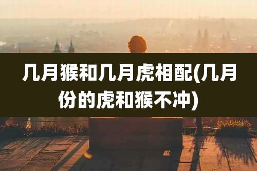 几月猴和几月虎相配(几月份的虎和猴不冲)