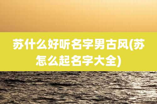 苏什么好听名字男古风(苏怎么起名字大全)