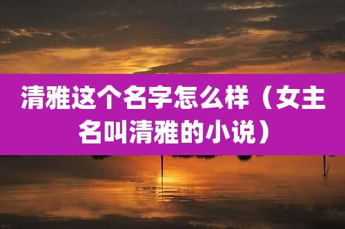 清雅这个名字怎么样(女主名叫清雅的小说)