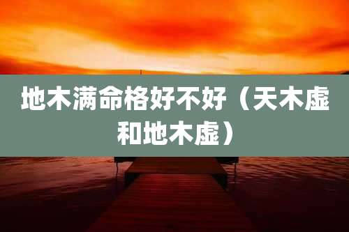 地木满命格好不好(天木虚和地木虚)