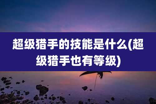 超级猎手的技能是什么(超级猎手也有等级)