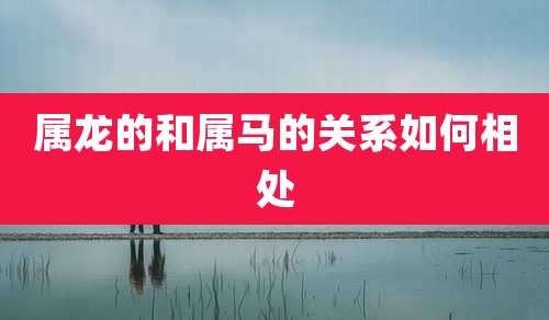 属龙的和属马的关系如何相处