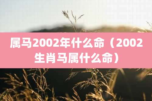 属马2002年什么命(2002生肖马属什么命)