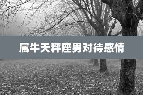 属牛天秤座男对待感情