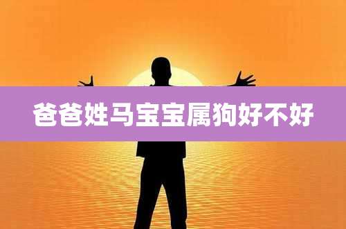 爸爸姓马宝宝属狗好不好