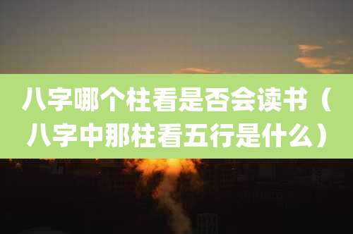 八字哪个柱看是否会读书（八字中那柱看五行是什么）