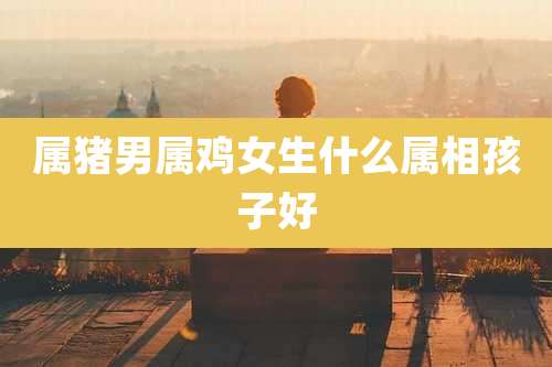 属猪男属鸡女生什么属相孩子好