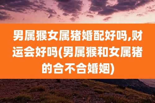 男属猴女属猪婚配好吗,财运会好吗(男属猴和女属猪的合不合婚姻)