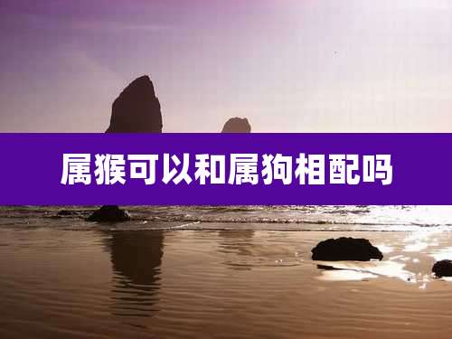 属猴可以和属狗相配吗