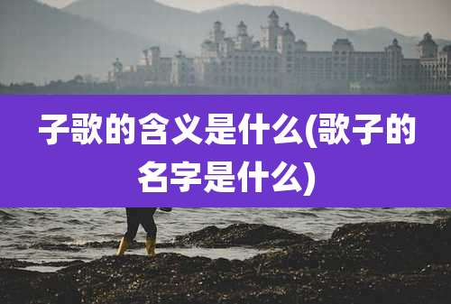 子歌的含义是什么(歌子的名字是什么)