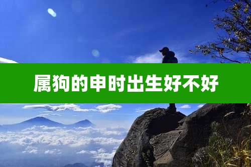 属狗的申时出生好不好