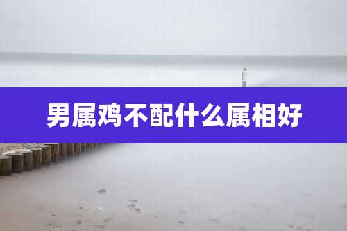 男属鸡不配什么属相好