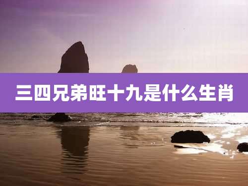 三四兄弟旺十九是什么生肖