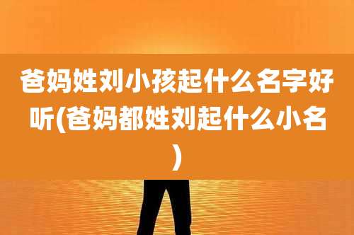 爸妈姓刘小孩起什么名字好听(爸妈都姓刘起什么小名)
