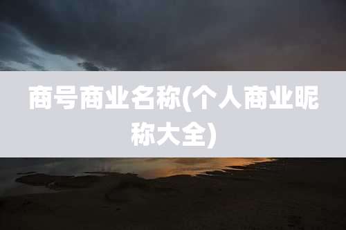 商号商业名称(个人商业昵称大全)