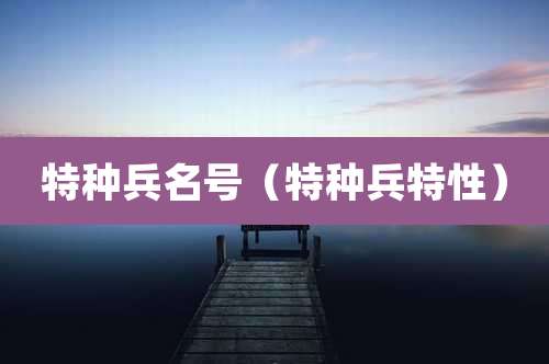 特种兵名号（特种兵特性）