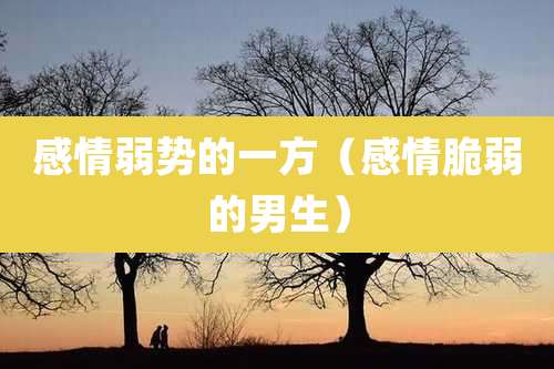 感情弱势的一方(感情脆弱的男生)