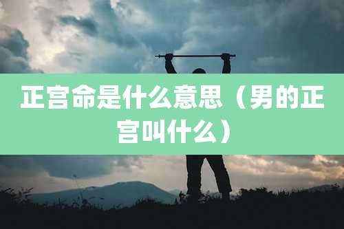 正宫命是什么意思（男的正宫叫什么）