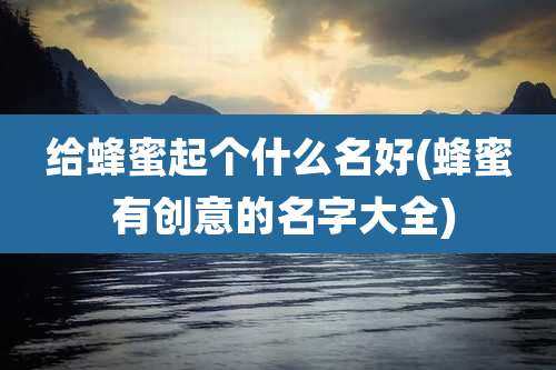 给蜂蜜起个什么名好(蜂蜜 有创意的名字大全)