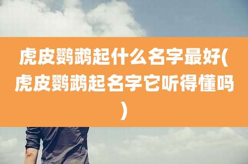 虎皮鹦鹉起什么名字最好(虎皮鹦鹉起名字它听得懂吗)