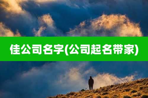 佳公司名字(公司起名带家)